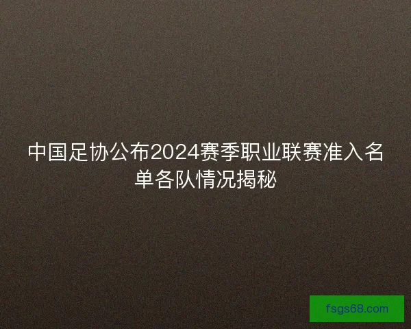 中国足协公布2024赛季职业联赛准入名单各队情况揭秘